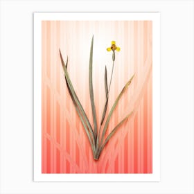 Iris Martinicensis Vintage Botanical in Peach Fuzz Awning Stripes Pattern n.0023 Art Print