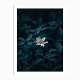 White Flower In The Dark 38 Art Print