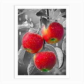 Three Red Apples On A Tree Art Print