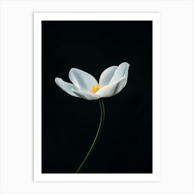 White Flower 11 Art Print