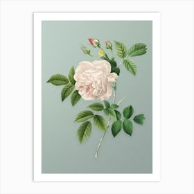 Vintage Rosa Indica Botanical Art on Mint Green Art Print