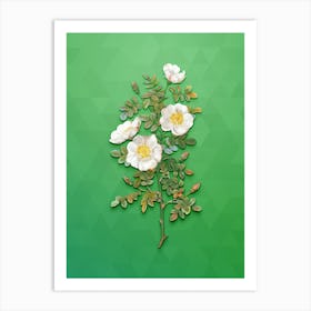 Vintage White Burnet Roses Botanical Art on Classic Green n.0060 Art Print