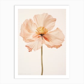 Pressed Flower Botanical Art Poppy 2 Art Print