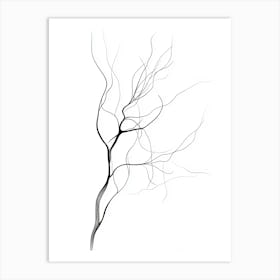 Bare Tree Isolated On White Art Print