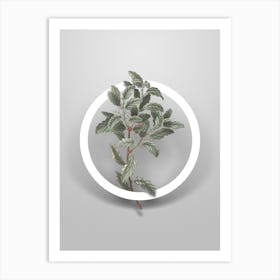 Vintage Evergreen Oak Minimalist Flower Geometric Circle on Soft Gray Art Print