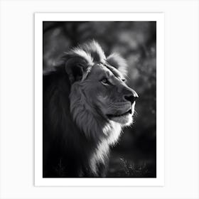 Lion in the Nature Art Print