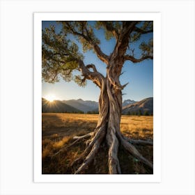 Old Tree At Sunrise Art Print