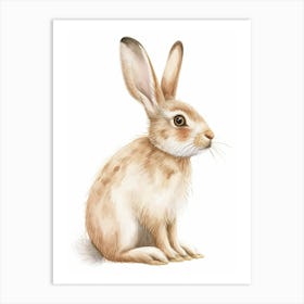 Netherland Dwarf Rabbit Kids Illustration 1 Art Print