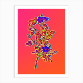Neon Pink Pompon Rose Botanical in Hot Pink and Electric Blue n.0120 Art Print