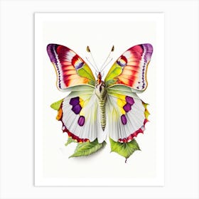 Brimstone Butterfly Decoupage 1 Art Print