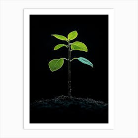 Small Green Plant On Black Background 26 Art Print