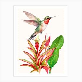 Hummingbird And Plant Art Print