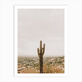 Phoenix Arizona Cactus Art Print