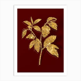 Vintage Papaw Tree Branch Botanical in Gold on Red Art Print