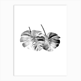 Monstera Leafs Minimalist Black And White Boho Art Print Art Print