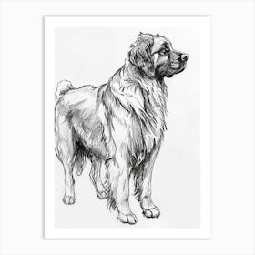 Leonberger Dog Line Sketch 3 Art Print