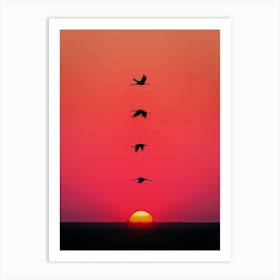 Sunset Birds Art Print