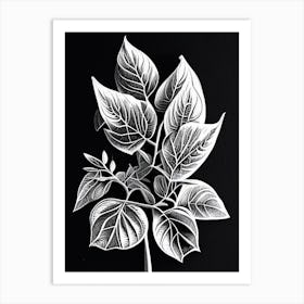 Marjoram Leaf Linocut 2 Art Print