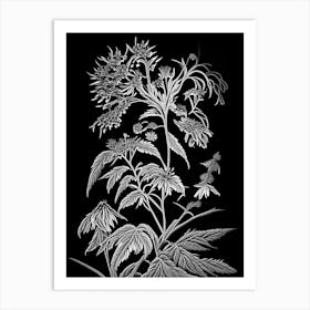 Black Snakeroot Wildflower Linocut 1 Art Print