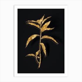Vintage Dayflower Botanical in Gold on Black n.0312 Art Print