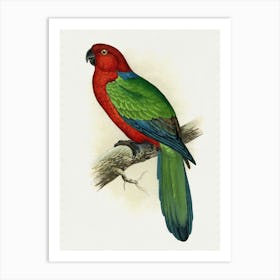 Parrot 20 Art Print