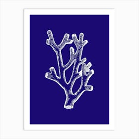 Coral Branch On Blue Background Art Print