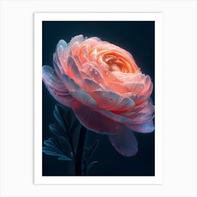 Peony Flower 8 Art Print