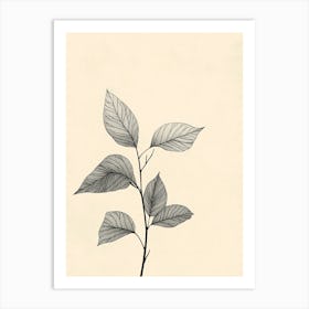 Leaf On A Branch 7 Art Print