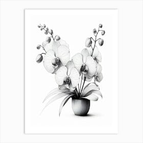 Orchids In A Vase Detailed In Black And WHITE Art Print