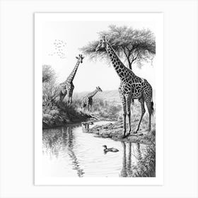 Giraffes Inspecting Their Reflection Pencil Drawing 2 Art Print