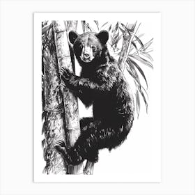 Malayan Sun Bear Cub Climbing A Tree Ink Illustration 4 Art Print