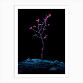 Tree In The Dark 4 Art Print