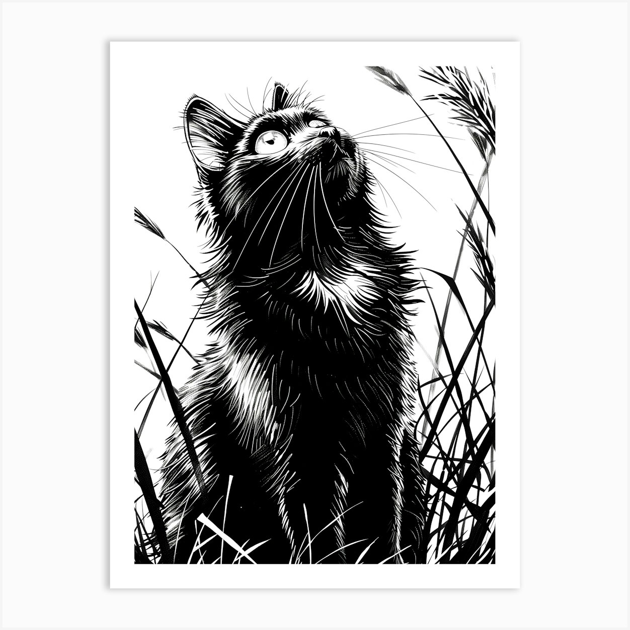 Cat In The Grass Art Print by JBJart Justyna Jaszke
