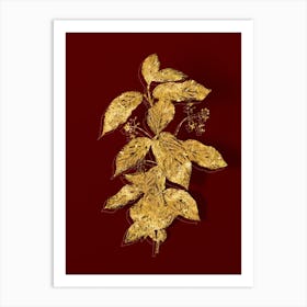 Vintage Broadleaf Spindle Botanical in Gold on Red n.0582 Art Print