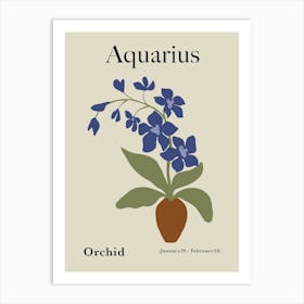 Aquarius Orchid Art Print