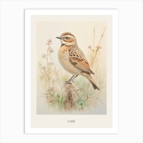 Vintage Bird Drawing Lark 3 Poster Art Print