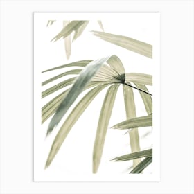 Transparent Palm Art Print