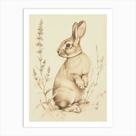 Tan Rabbit Drawing 3 Art Print