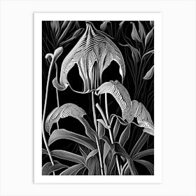 Jack In The Pulpit Wildflower Linocut 1 Art Print