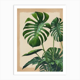 Monstera Ii Canvas Print Art Print