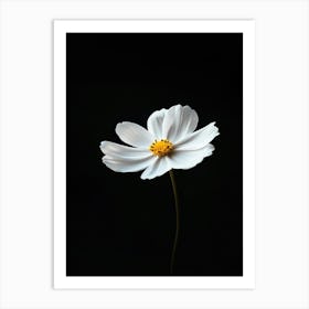 White Flower On Black Background 6 Art Print