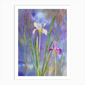 Irises Art Print