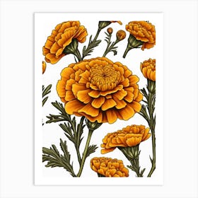 Carnations 10 Art Print