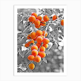 Apricots in the tree Art Print