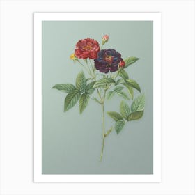 Vintage Van Eeden Rose Botanical Art on Mint Green n.0875 Art Print