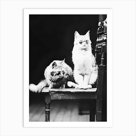 Two Cats Wearing Sunglasses On A Chair, Vintage Black and White Old Photo Art Print