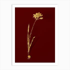 Vintage Galaxia Ixiaeflora Botanical in Gold on Red n.0117 Art Print