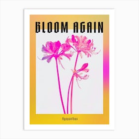 Hot Pink Agapanthus 1 Poster Art Print