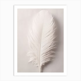 White Feather 2 Art Print