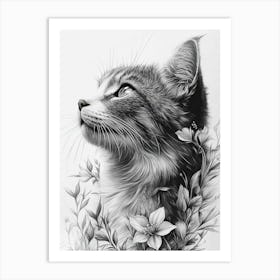 Black And White Cat Drawing Art Print